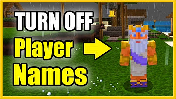 How to TURN OFF Player Names in Minecraft & Hide Name Tags (Easy Method!)