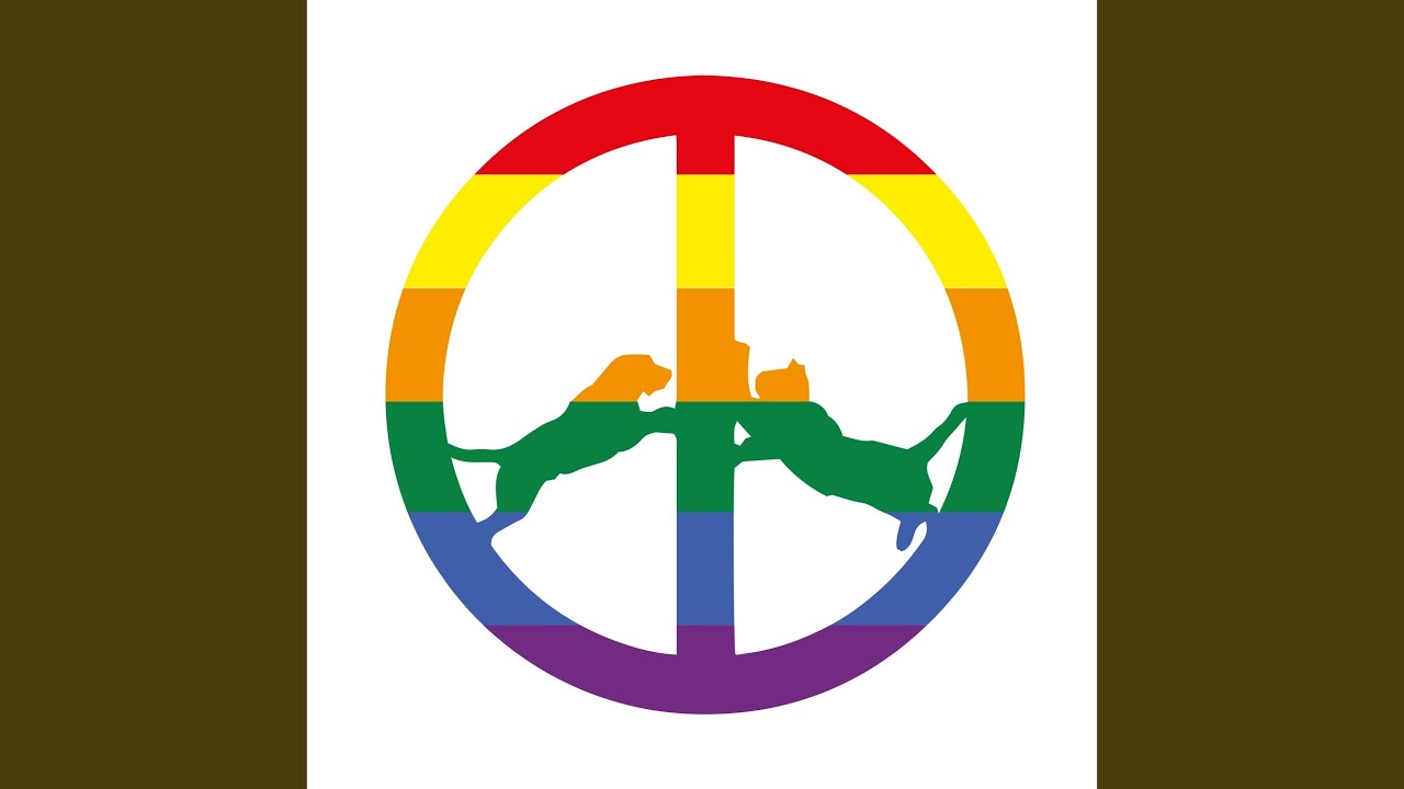 Spinderella’s Dream