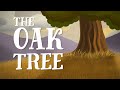 The oak tree  us english accent thefablecottagecom