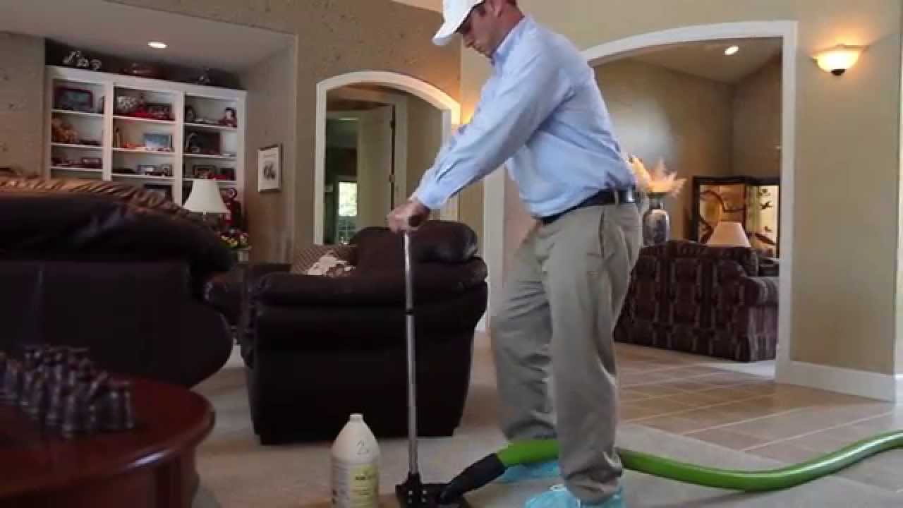 Pet Odor Removal Seattle PureClean 2063534155 YouTube