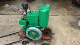 Baltix simplex