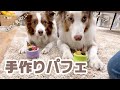 リリガルが大好きなママのオリジナルパフェと好きな味チェックの試食会をするよ🍴🐶💕【ボーダーコリー×オーストラリアンシェパード】