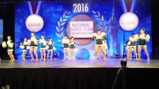 CHS Dance Team 1/30/16