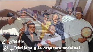 El Anillo (El Lebrijano y la Orquesta Andalusí de Tánger) -cover-