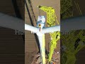 Highest flexible wind turbine tower in Asia. Goldwind 4.0mw-165m. Henan China