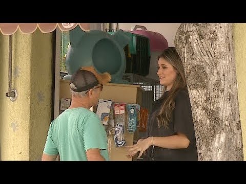 Gata quer ajuda para segurar “bichinho” e galera se dá mal