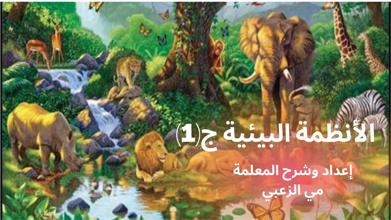 الصف السادس/علوم/درس الأنظمة البيئية ج(١)@مي_الزعبي #الصف_السادس #علوم