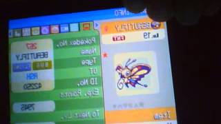 Capture 20121223 1