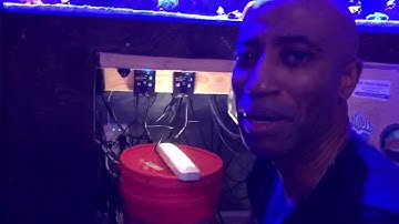 Coralvue Hydros Control 4- My setup