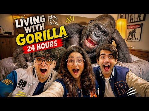 Living with GORILLA for 24 Hours | Rimorav Vlogs