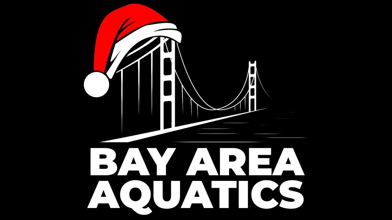 Merry Christmas From Bay Area Aquatics