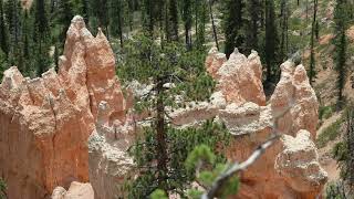 Bryce Canyon National Park July 2022