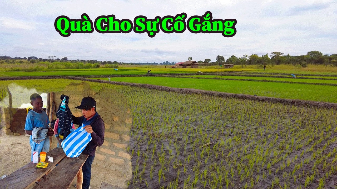 Công Đồng II Năm Nay Mất Mùa Nhưng Nhờ Anh Em Cháu Hướng Dẫn Trồng Lúa , Có Vẻ Tích Cực Hơn