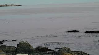 فرستبردار پرده از رخ و از دیده های مانوری که عاریه است به خورشید وافرستگاهی به دست خواب پیام وصال سمعها