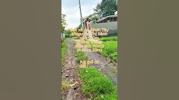 Đất 1/Nguyễn Thị Rành, xã An Nhơn Tây, dt 110m2, chỉ 1 tỷ 100 (S319) #đất_củ_chi #shorts