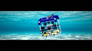 AUV Animation