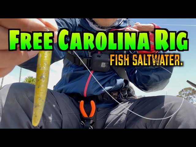 Free Carolina rig] Saltwater Jetty Fishing. 