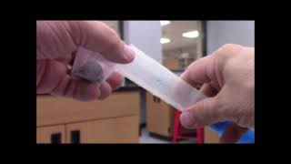 Penny Density Lab Procedure