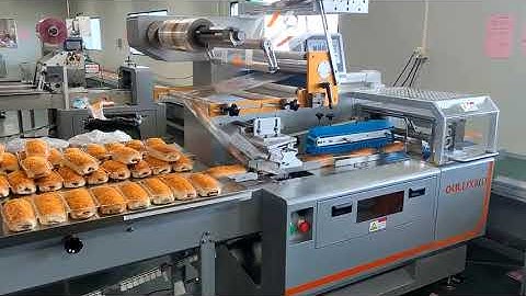 Pork Floss Bread Production Line/Provider of Automated Packaging Equipment and Solutions