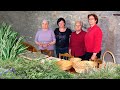 Recoleccin de plantas silvestres para su uso medicinal culinario y teraputico en el medio rural