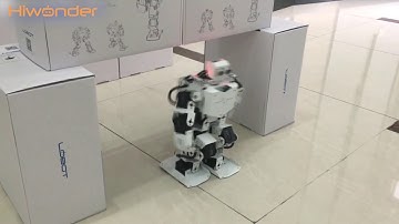 Section 5 |Hiwonder H3P Robot Change the Postures While Crossing Demo Video