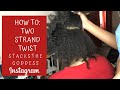 How To: Two Strand Twist| Starter Locs