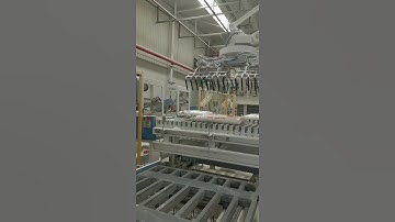 Palletizing robot working video