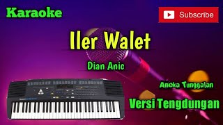 Iler Walet ( Dian Anic ) Karoke Musik Sandiwaraan Cover