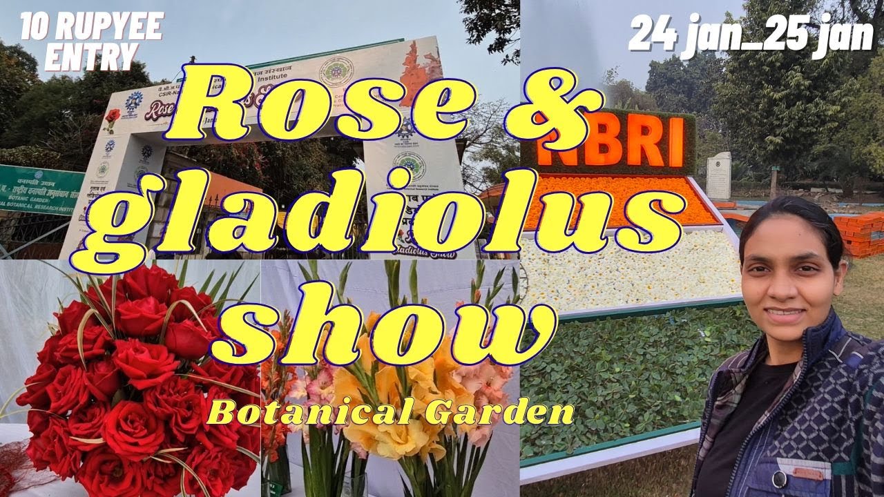 Rose & gladiolus show | Lucknow | tissue culture se kariye platation aur sikhiye kitchen gardening