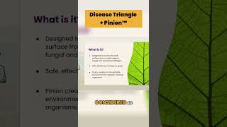 Pinion + Disease Triangle: Making Plants Unsusceptible Hosts