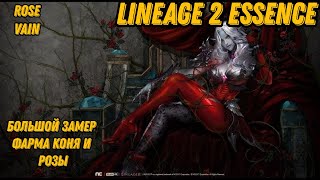 картинка: Большое сравнение фарма Розы и Коня в  Lineage 2 Essencе!!