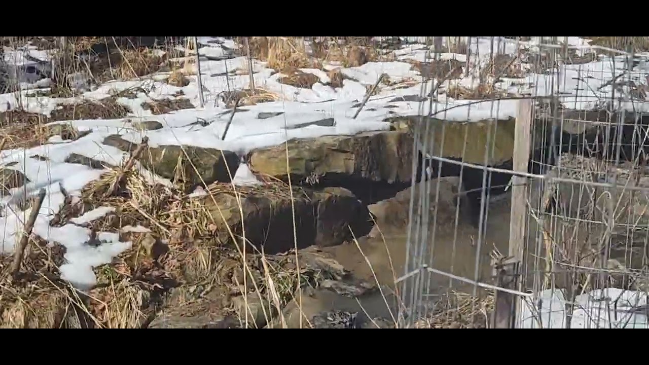 RIVIERA CREEK 🚀 PERRY'S HILL HELL TOWN BASK IN IT'S GLORY IT'S NOT 🚫 VOODOO IT'S PLANTED 🌲🌴🌲🌴 🤗🤗🤗🤗🤗1