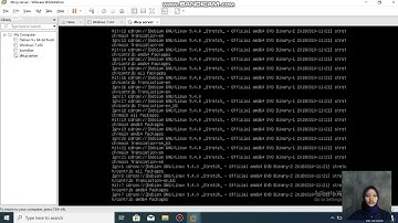 CARA INSTALASI DAN KONFIGURASI DHCP SERVER DENGAN DEBIAN 9 DI VMWARE WORKSTATION 17
