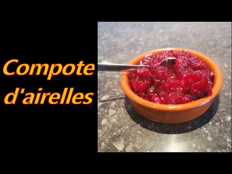 Vidéo: Comment Faire Cuire La Compote D'airelles