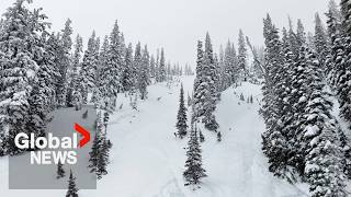 Teen Killed In Avalanche At Popular Ski Resort Near Calgary