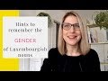 Hints to remember the gender of  Luxembourgish nouns