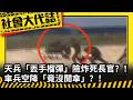 《社會大代誌》天兵「丟手榴彈」險炸死長官？！傘兵空降「竟沒開傘」？！