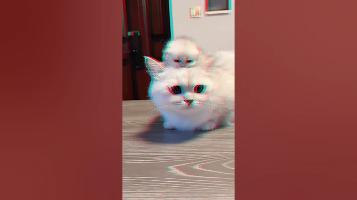 Watch the video about Cute funny cat🐱|Fluffy Tales|#youtubeshorts #catshorts #catlover #kitten #viral #animalht