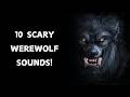 10 Werewolf Sound Effects Scariest Werewolf Sounds 10 Werewolf Sound Effects Scariest Werewolf Sounds