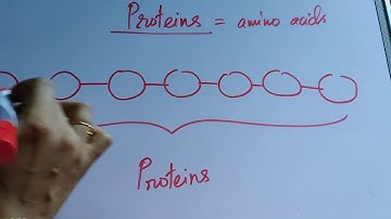Principles of Inheritance and Variation: Part 8