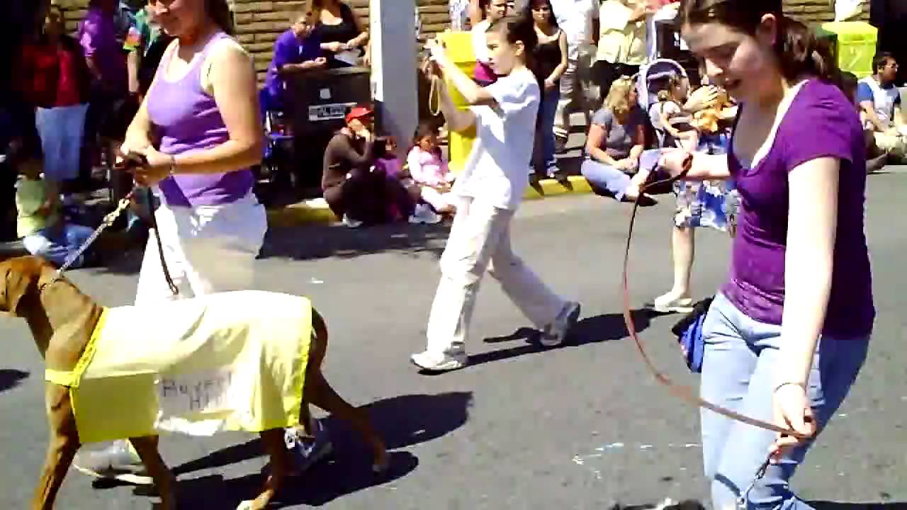 Apple Blossom Parade, Sebastopol, CA YouTube