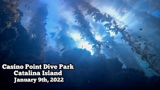 Casino Point Dive Day! | Diving Catalina Island | Scuba Diving vLog Monday Jan 9th 2022