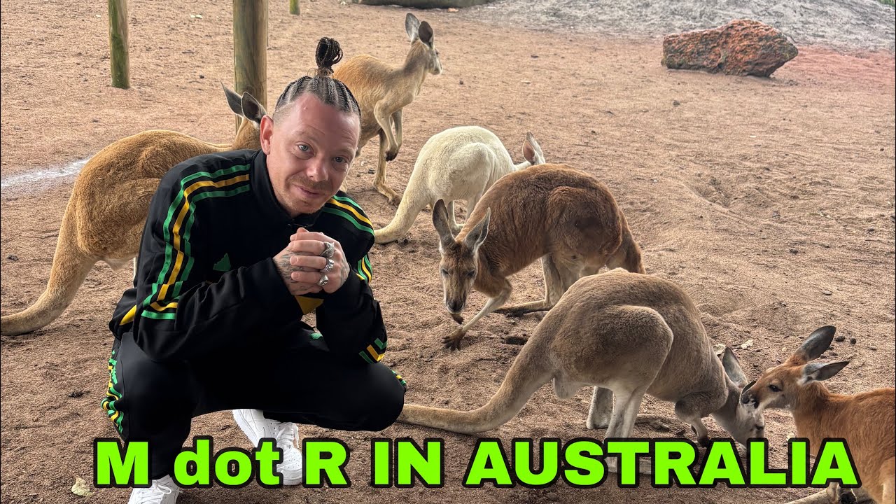 M dot R IN AUSTRALIA! KANGAROO’S & KUALA BEARS ! 
