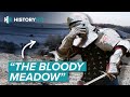 The Battle of Towton | Was It Really the Bloodiest in English History?