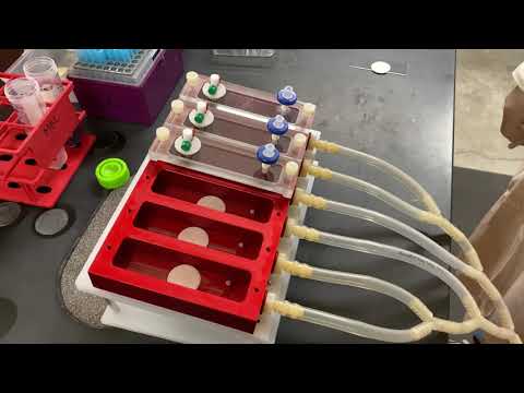 2021 MBM Lab Demo Colony Drip Flow Reactor Medical Biofilms Lab