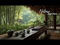 Tranquil Asian Melodies | Erhu and Guzheng for Deep Sleep