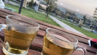 Picnic With My Family At Gölbaşi Parki Ankara - Mogan Gölü