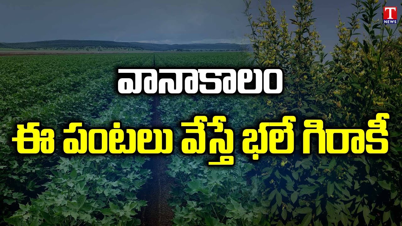 Telangana government is educating farmers on the cultivation of
