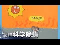 脸上长痘可能是螨虫引起！怎样科学除螨？| 科学实验室