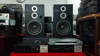 Pioneer CS G2000 Video 01 Of 11